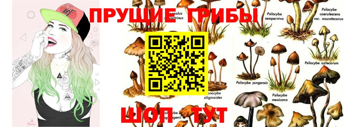 Балабаново  Галлюциногенные грибы прущие грибы  Вход с VPN 
